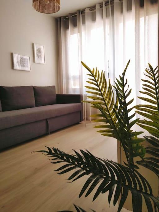 La Terraza De La Vega - Ubicacion Inmejorable , Wifi , Terraza Y Parking Gratuito Apartment Oviedo Ngoại thất bức ảnh