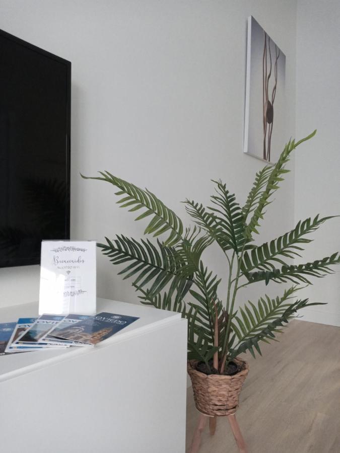 La Terraza De La Vega - Ubicacion Inmejorable , Wifi , Terraza Y Parking Gratuito Apartment Oviedo Ngoại thất bức ảnh
