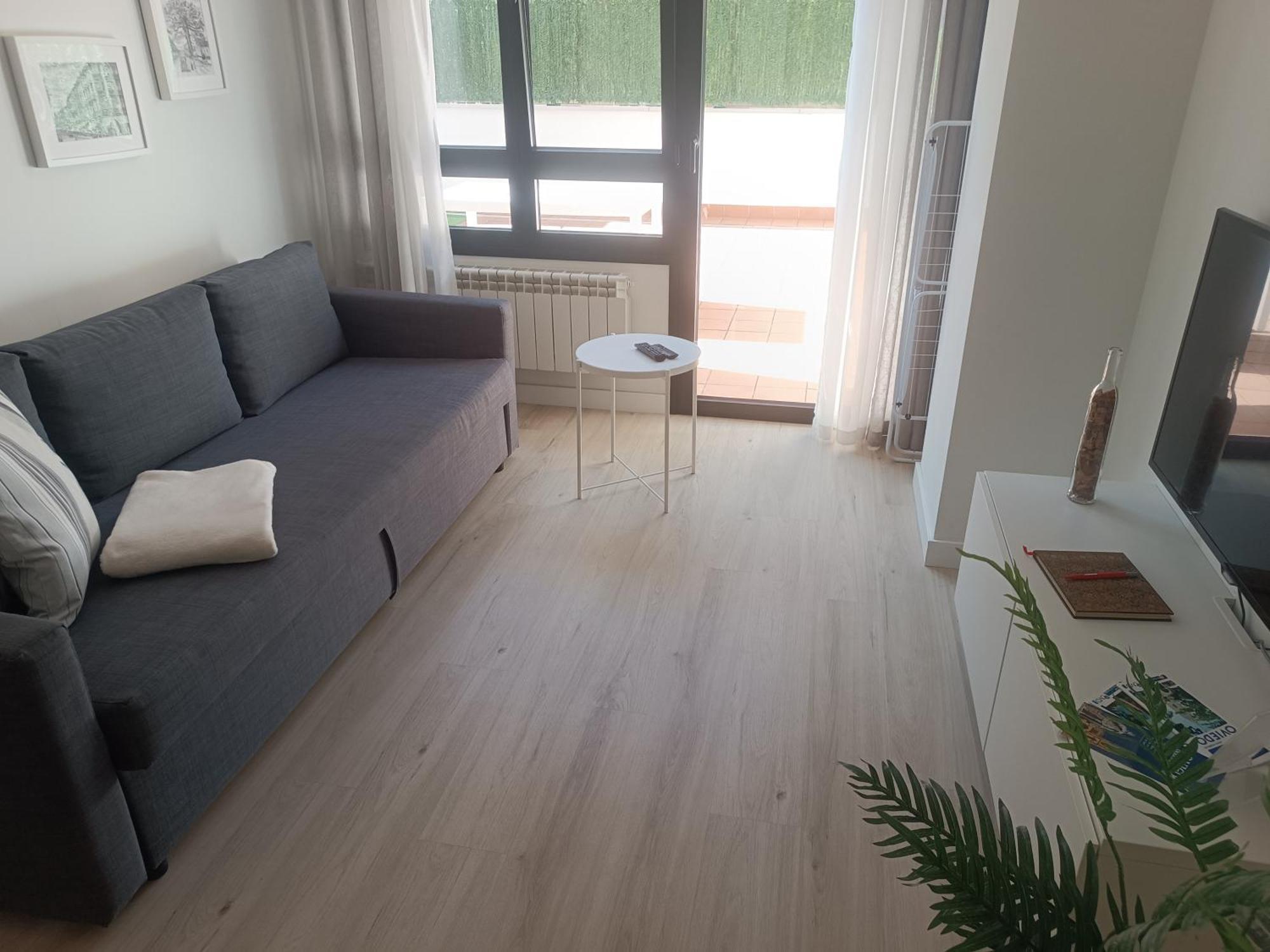 La Terraza De La Vega - Ubicacion Inmejorable , Wifi , Terraza Y Parking Gratuito Apartment Oviedo Ngoại thất bức ảnh